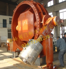 DN3000水（shuǐ）電站液控蝶閥（fá）